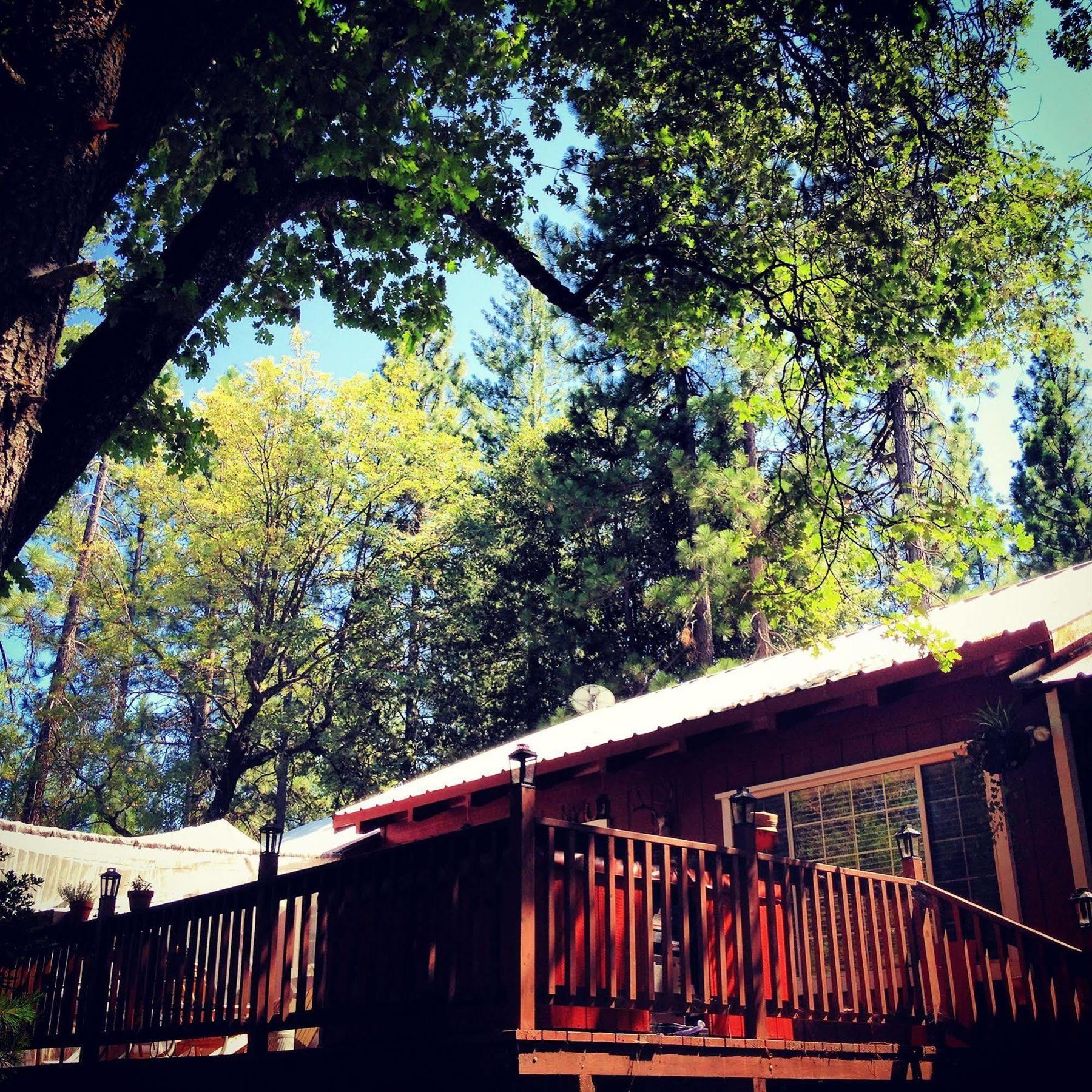 The Red Rooster Lodge Coulterville Exterior photo
